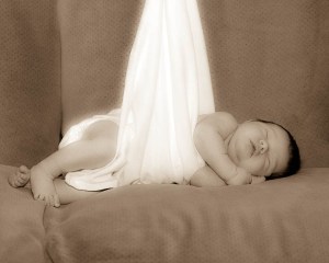 stork (1 of 1) stork (1 of 1)