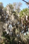 110308 Skidaway Island State Park_DSC04075