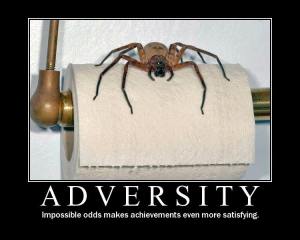 adversity