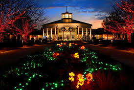 Put a visit to the Daniel Stowe botanical gardens on your to-do Christmas list--its a fun evening for children and adults.