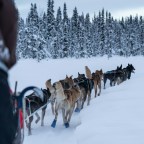 A Sledding Lesson in June