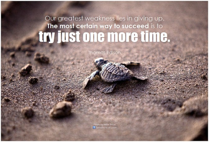 14765587484_6299e8469e_b