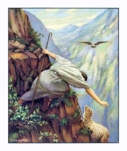 The Lost Sheep A U Soord