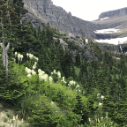 All noise is not equal