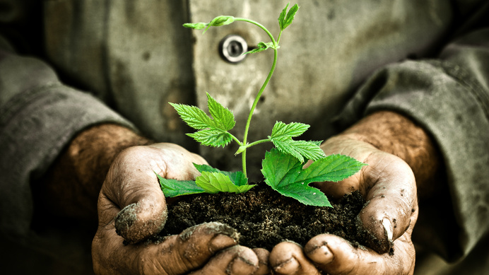 What is in your Hands?. The Lord said to Moses, 'What is that… | by  Diepriye Apola Opuda | wiifm | Medium