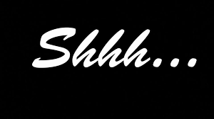 Shhh Discreet Cleaning - 80 Photos - 1 Review - Product/Service -