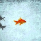 If everyone is doing it