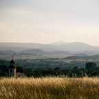 Volume 2, No. 8: To Change or Not to Change?