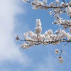 Don’t Be Afraid of the Truth