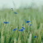 Let God Say “No”.