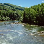 When You’re the King (or Queen)