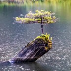 When it no longer matters…